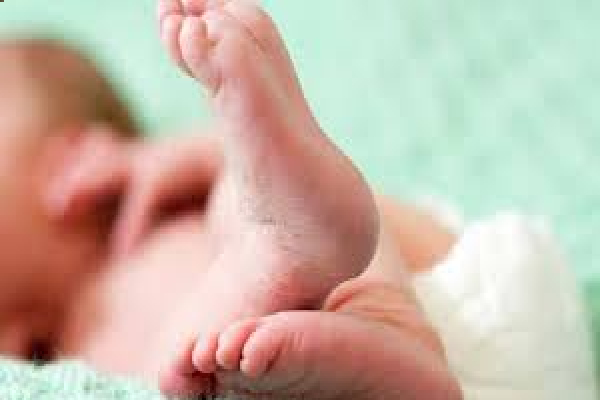 சிசுக்களை விற்பனை செய்யும் மோசடி அம்பலம் - வைத்தியசாலை ஊழியர் சிக்கினார் | Baby Selling Fraud Exposed