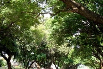 இராஜாங்க அமைச்சர் அதிகாரிகளுக்கு வழங்கியுள்ள பணிப்புரை!