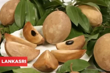 தோலின் சுருக்கங்கள் ஏற்படாமல் தடுக்க, தூக்கம் நன்றாக கிடைக்க இந்த பழத்தை நன்றாக சாப்பிடுங்க!