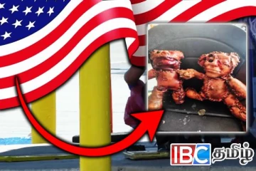 மனித தோலால் ஆன டெடி பியர்: அமெரிக்காவை உலுக்கிய அதிர்ச்சி சம்பவம்