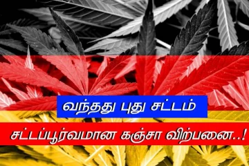 எதுக்கு..? சட்டபூர்வமாகும் கஞ்சா விற்பனை - அதிர்ச்சியில் மக்கள்