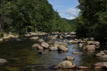 தண்ணீரை சேமிக்க ஈ - மெயிலில் பழைய செய்திகளை நீக்குமாறு உத்தரவு