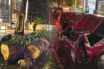 கொள்ளுப்பிட்டியில் முறிந்து விழுந்த மற்றுமொரு மரம்: மூன்று வாகனங்கள் சேதம் (Photos)