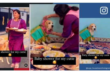 செல்ல நாய்க்கு வளைகாப்பு நடத்தி அழகு பார்த்த பெண்! மில்லியன் இதயங்களை வென்ற காட்சி