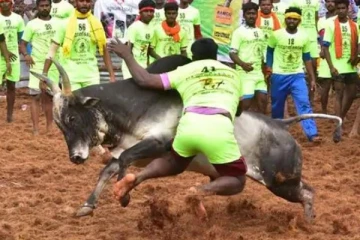 ஜல்லிக்கட்டில் ஆள்மாறாட்டம் செய்த  இளைஞர்கள் :  அதிரடியாக வெளியேற்றிய அமைச்சர், நடந்தது என்ன?