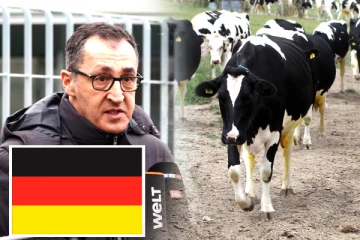 ஜேர்மனியில் Foot-and-Mouth நோயின் பாதிப்புகள் இல்லை - விவசாய அமைச்சர் உறுதி