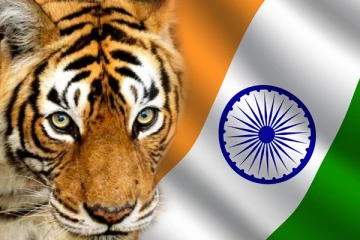 "புலிகள் திட்டம் " இந்திய மத்திய அரசு வெளியிட்ட அரசாணை
