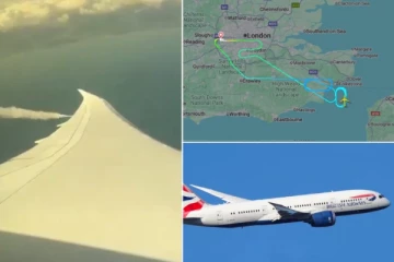 நடுவானில் இயந்திரக் கோளாறு: லண்டன் - சென்னை பிரிட்டிஷ் ஏர்வேஸ் விமானம் அவசரமாக தரையிறக்கம்!