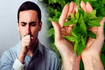 தினமும் துளசி இலையை வாயில் போட்டு மென்று வந்தால் இவ்வளவு பலன்களா?