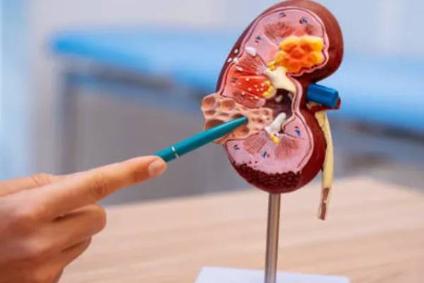 அமைதியான சிறுநீரக சிதைவு - உலகளவில் 800 மில்லியன் மக்கள் பாதிப்பு... என்ன செய்யலாம்? | Silent Kidney Disease 800 Million People Affected அமைதியான சிறுநீரக சிதைவு - உலகளவில் 800 மில்லியன் மக்கள் பாதிப்பு... என்ன செய்யலாம்? | Silent Kidney Disease 800 Million People Affected