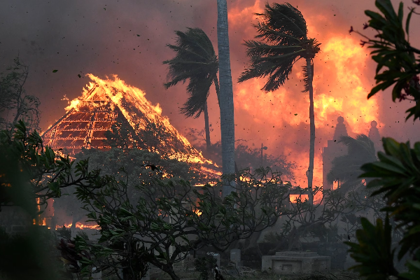 அமெரிக்காவில் 36 பேரை பலியெடுத்த ஹவாய் காட்டுத் தீ | Wildfires Devastate Hawaii S Maui Island Update
