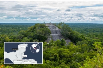 மெக்சிகோ காடுகளில் மறைந்திருந்த அதிசயம்! வெளிச்சத்திற்கு வந்த ஆயிரக்கணக்கான கண்டுபிடிப்புகள்