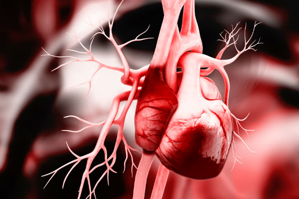 ஆண்களை குறி வைத்து தாக்கும் ஆபத்து...இந்த பிரச்சினைகள் இருந்தால் ஜாக்கிரதை! | Common Health Issues Men