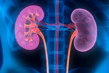 சிறுநீரகம் ஆரோக்கியமாக இருக்க வேண்டுமா? இந்த உணவினை கட்டாயம் எடுத்துக்கோங்க