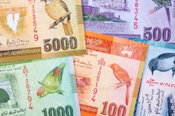 ஒரே நாளில் 20 பில்லியன் ரூபாவை அச்சிட்ட  அரசாங்கம்!