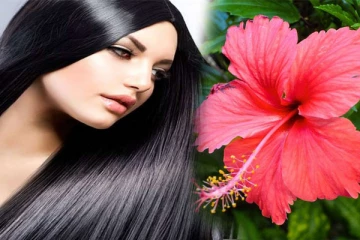 கொத்துக் கொத்தாக முடி கொட்டுகிறதா? இந்த பூவையும், இலையையும் இப்படி பயன்படுத்திப் பாருங்க