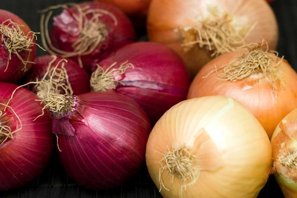 வெங்காயத்தின் விலை அதிகரிப்பு | Increase In Price Of Onion