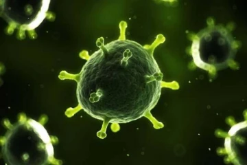 கொரோனாவை வீட்டிலிருந்தே விரட்ட வேண்டுமா? இந்த உணவுகள் மட்டும் போதும்