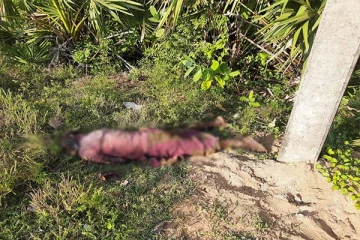 குச்சவெளியில் கைவிடப்பட்ட நிலையில் ஆண் ஒருவரின் சடலம் மீட்பு (Photos)