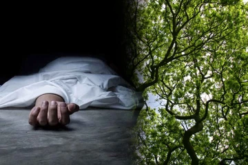 யாழில் ஆலயத்திற்கு சொந்தமான மரத்தினை வெட்ட முயன்ற நபர் பலி