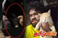 பூனையை மனிதாபிமானமற்ற முறையில் துன்புறுத்தியவருக்கு நேர்ந்த கதி