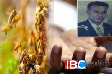 கொட்டியது குளவி : ஒரே மகனை காப்பாற்ற முற்பட்ட தந்தைக்கு நேர்ந்த துயரம்