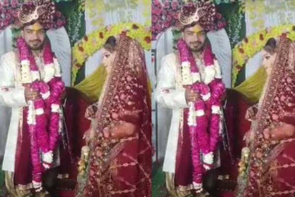 marriage stopped dog barking in up