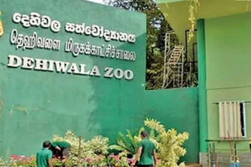පාසල් නිවාඩුවෙන් දෙහිවල ජාතික සත්වෝද්‍යානයට පිරී ඉතිරෙයි - දෙස් විදෙස් සංචාරකයන්ද වැල නොකැඩී එයි