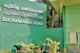 පාසල් නිවාඩුවෙන් දෙහිවල ජාතික සත්වෝද්‍යානයට පිරී ඉතිරෙයි - දෙස් විදෙස් සංචාරකයන්ද වැල නොකැඩී එයි