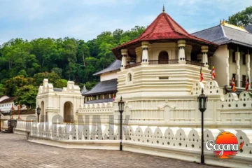 දියවඩන නිලමේ නිලවරණය පැවැත් වෙන්නේ මෙදාට, දිනය තීන්දුයි