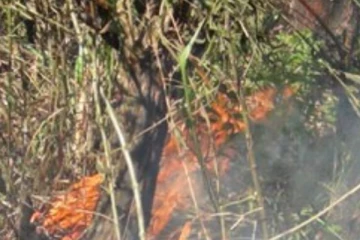 තෙල්දෙණියේ ගින්නක්..