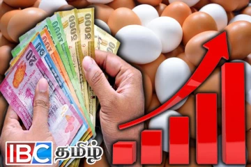 உச்சம் தொட்ட முட்டை விலை : விடுக்கப்பட்டுள்ள எச்சரிக்கை