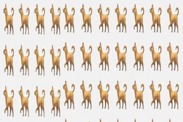 Optical Illusion: நாய்களின் கூட்டத்தில் மறைந்திருக்கும் பூனையை உங்களால் கண்டுபிடிக்க முடியுமா?