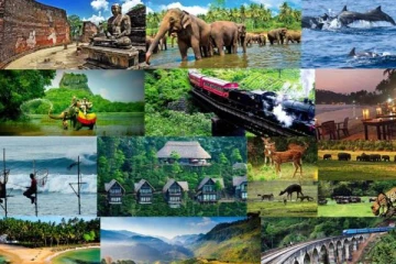 இலங்கைக்கு இந்த துறையின் மூலம் குவியும் டொலர்கள்!