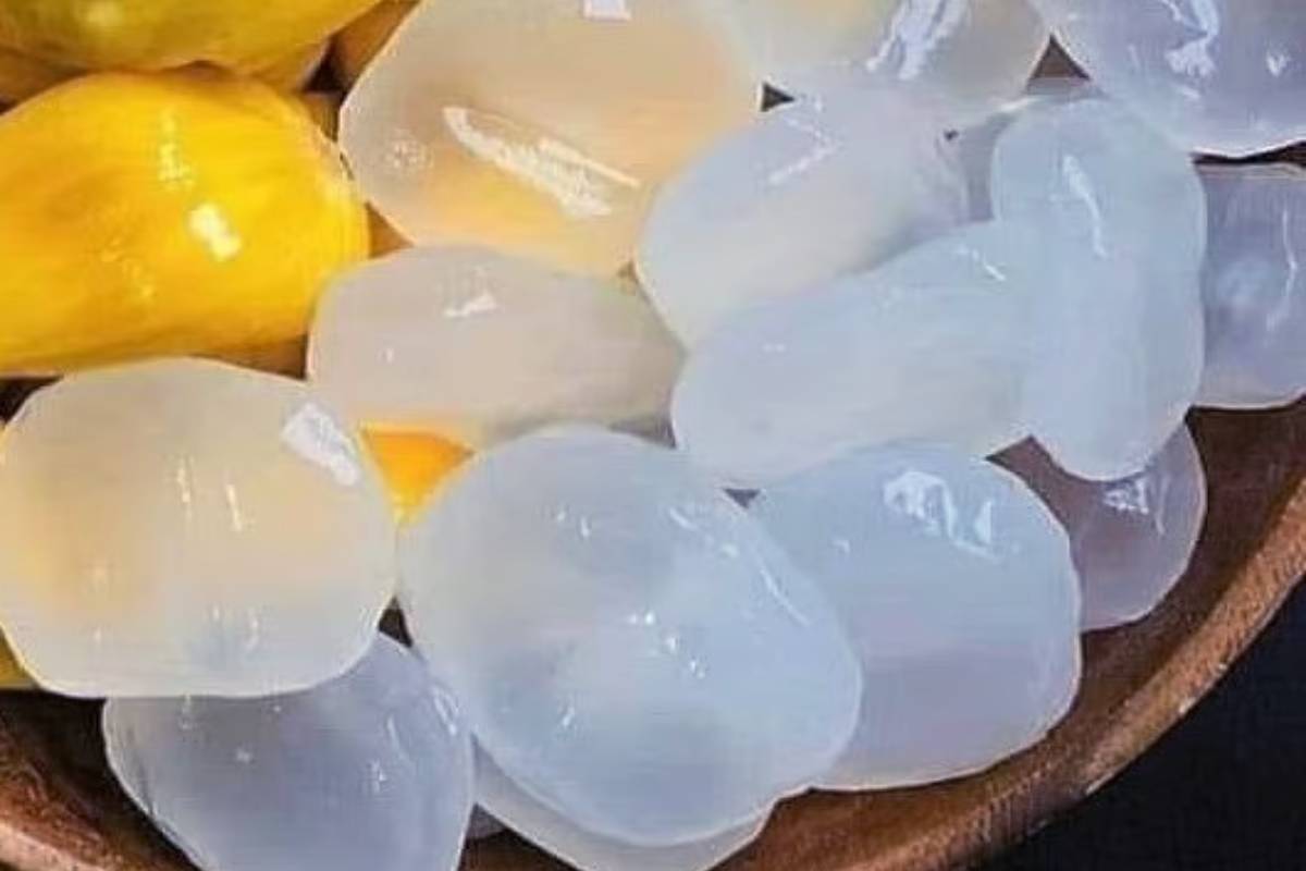 மாதம்பட்டி ரங்கராஜ் ஸ்பெஷல் நுங்கு சுக்கா - இந்த கோடை காலத்தில் சிறப்பான ரெசிபி | Madhampatty Rangarajs Nungu Sukka Recipe