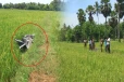 தமிழர் பகுதியில் வயல் நிலத்துக்குள் சடலமாக கிடந்த குடும்பஸ்தர் - உறவினர்கள் கொடுத்த வாக்குமூலம்
