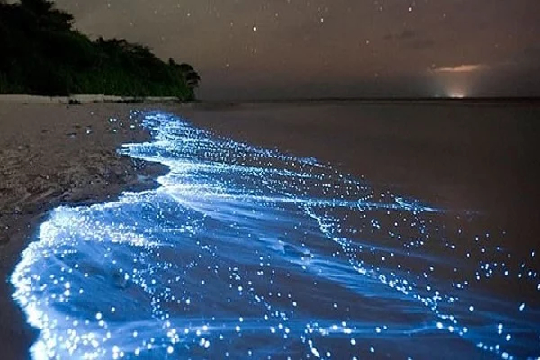 உலகில் இரவில் ஒளிரும் அற்புதமான இடங்கள் பற்றி தெரியுமா..! | Places That Glow In The Dark World