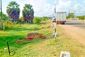 விடுதலைப்புலிகள் பெற்ற வெற்றி : வீதியோர மரநடுகைகளில் நினைவு கொள்ளும் மக்கள்