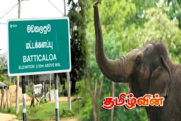 மட்டக்களப்பில் காட்டு யானை தாக்குதல்: ஒருவர் உயிரிழப்பு- இருவர் வைத்தியசாலையில் அனுமதி