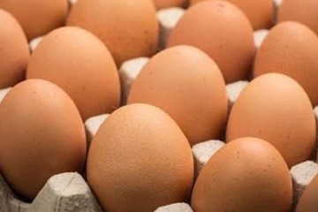 බිත්තර ආනයනය සම්බන්ධයෙන් අමාත්‍ය මණ්ඩල තීරණය..