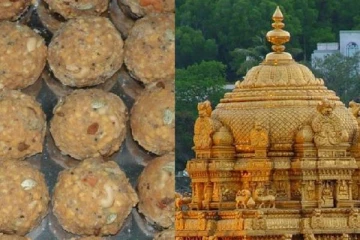 திருப்பதி செல்பவர்களுக்கு காத்திருக்கும் அதிர்ச்சி - இனி லட்டுக்கு கோவிந்தா..கோவிந்தா...