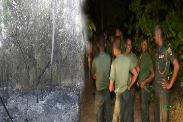 புத்தளத்தில் பாரிய தீ விபத்து: பல ஏக்கர் நிலப்பரப்பு தீக்கிரை(Photos)