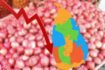 பெரிய வெங்காய உற்பத்தி தொடர்பில் வெளியான தகவல்