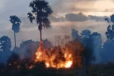 யாழில் விஷமிகள் கைவரிசையால் பற்றியது தீ