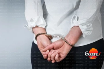 මෙන්න වැඩක් පොලීසිය වගේ රගපෑ කාන්තාවක් දැලේ