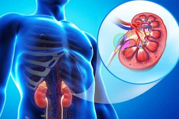 சிறுநீரக நோயாளிகள் அதிகரிப்பிற்கு குடிநீரே காரணம்!