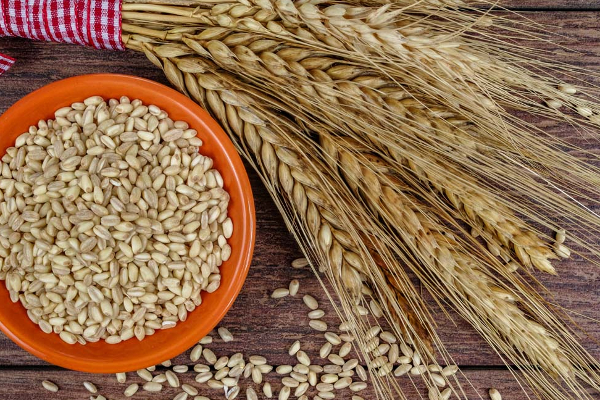 தமிழர் பிரதேசமொன்றில் மட்டும் எகிறிய கோதுமை மாவின் விலை! | The Price Of Wheat Flour In Vavuniya