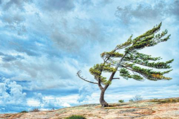 வளிமண்டலவியல் திணைக்களம் விடுத்துள்ள அறிக்கை | Heavy Rain Weather Forecast Dept Of Meteorology