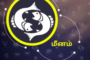 2026: பிப்ரவரி மாதம் பண மழையில் குதிக்க போகும் மீன ராசியினர்