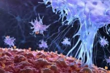 புதிய வகை கொரோனா உலகம் முழுவதும் வேகமாக பரவி வருகிறது